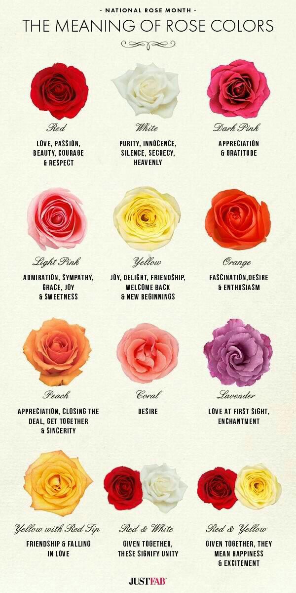 roses_colors