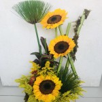 Fields of Sunshine