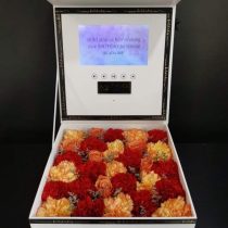Large Video Box