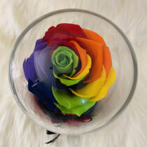 Preserved Flowers