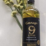 Gato Negro