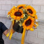 1doz. Sunflower Bloombox Arr.