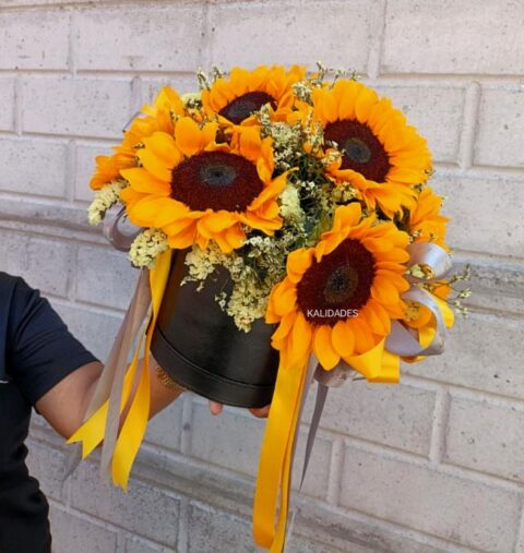 MD 10 1doz. Sunflower Bloombox Arr. - Image 1
