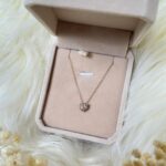 Trisha's Heart