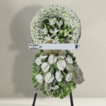 Sympathy Stand 11